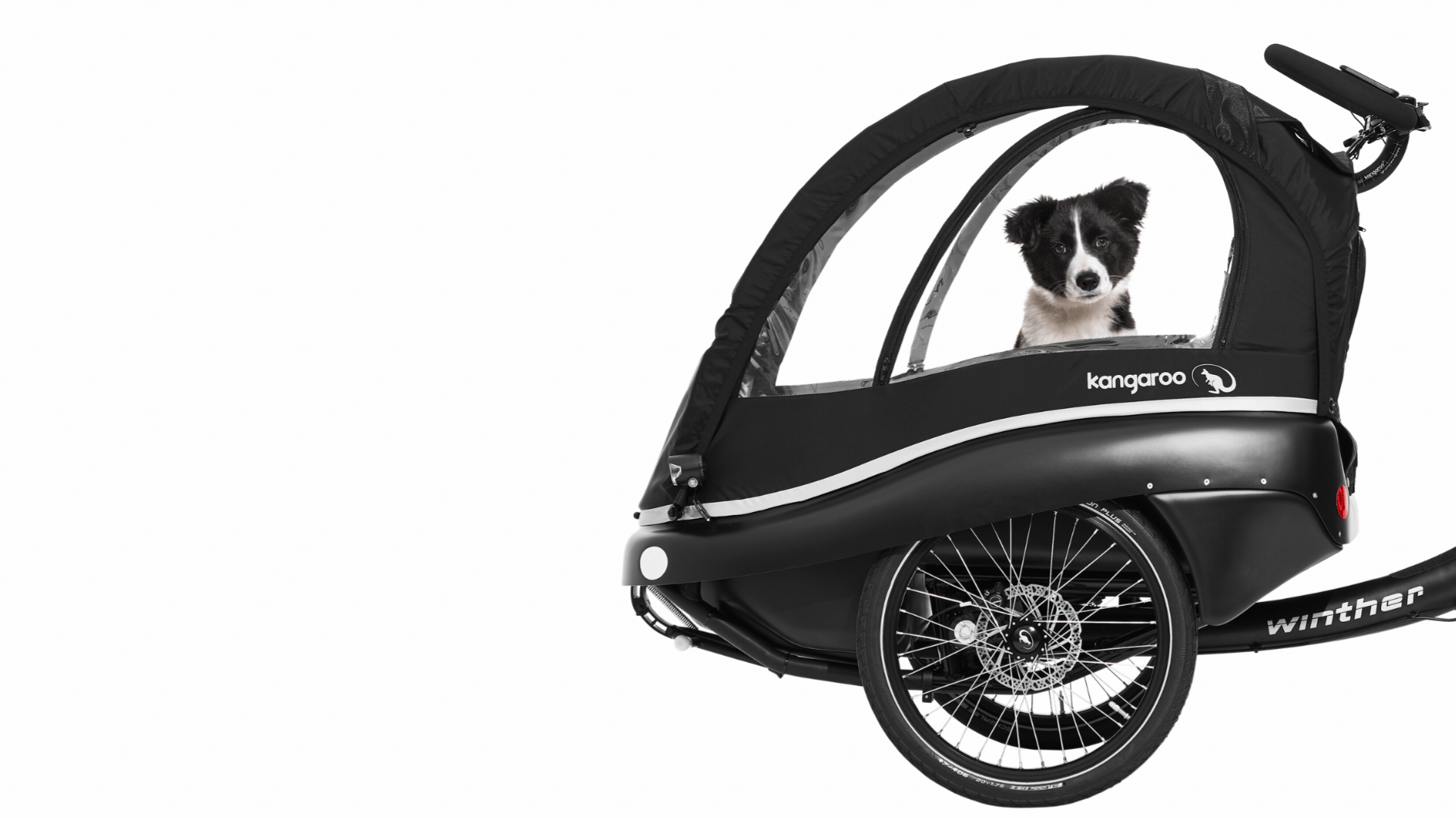 Copy of Kangaroo Luxe